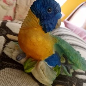 Parrot 🐦 Home Decor